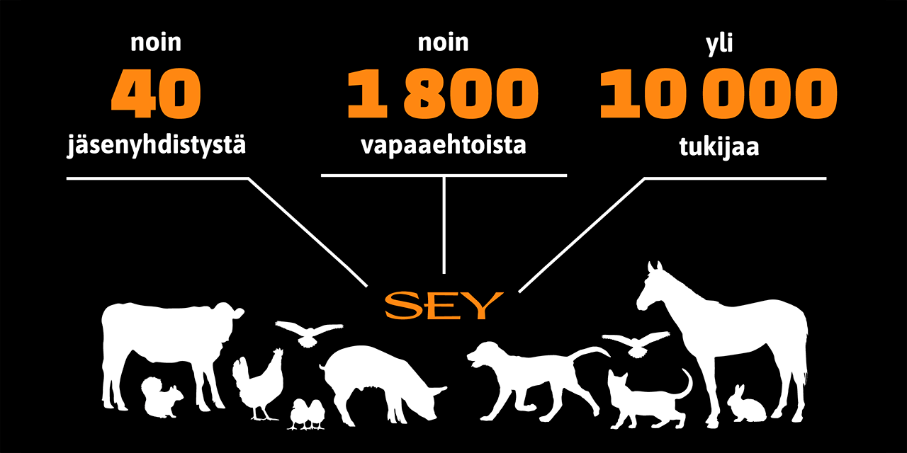 Organisaatiokaavio, jossa SEYllä kerrotaan olevan noin 40 jäsenyhdistystä, noin 1800 vapaaehtoista ja yli 10000 tukijaa.