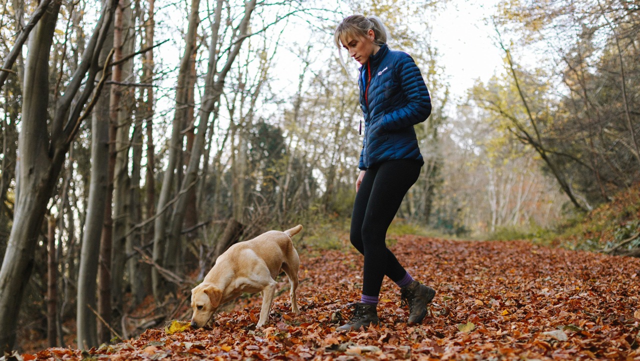 Koira ja ihminen ulkoilevat metsässä. Koira haistelee maata.
