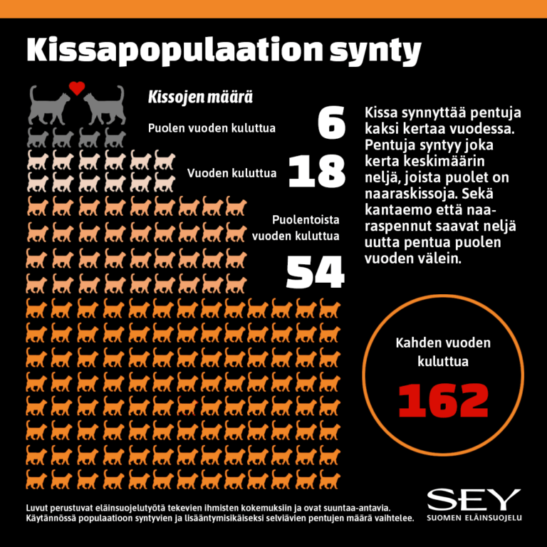 Graafinen kuva kissapopulaation synnystä. Ensin kissoja on kaksi. Puolen vuoden kuluttua kissoja on kuusi. Vuoden kuluttua kissoja on 18. Puolentoista vuoden kuluttua kissoja on 54. Kahden vuoden kuluttua kissoja on 162.